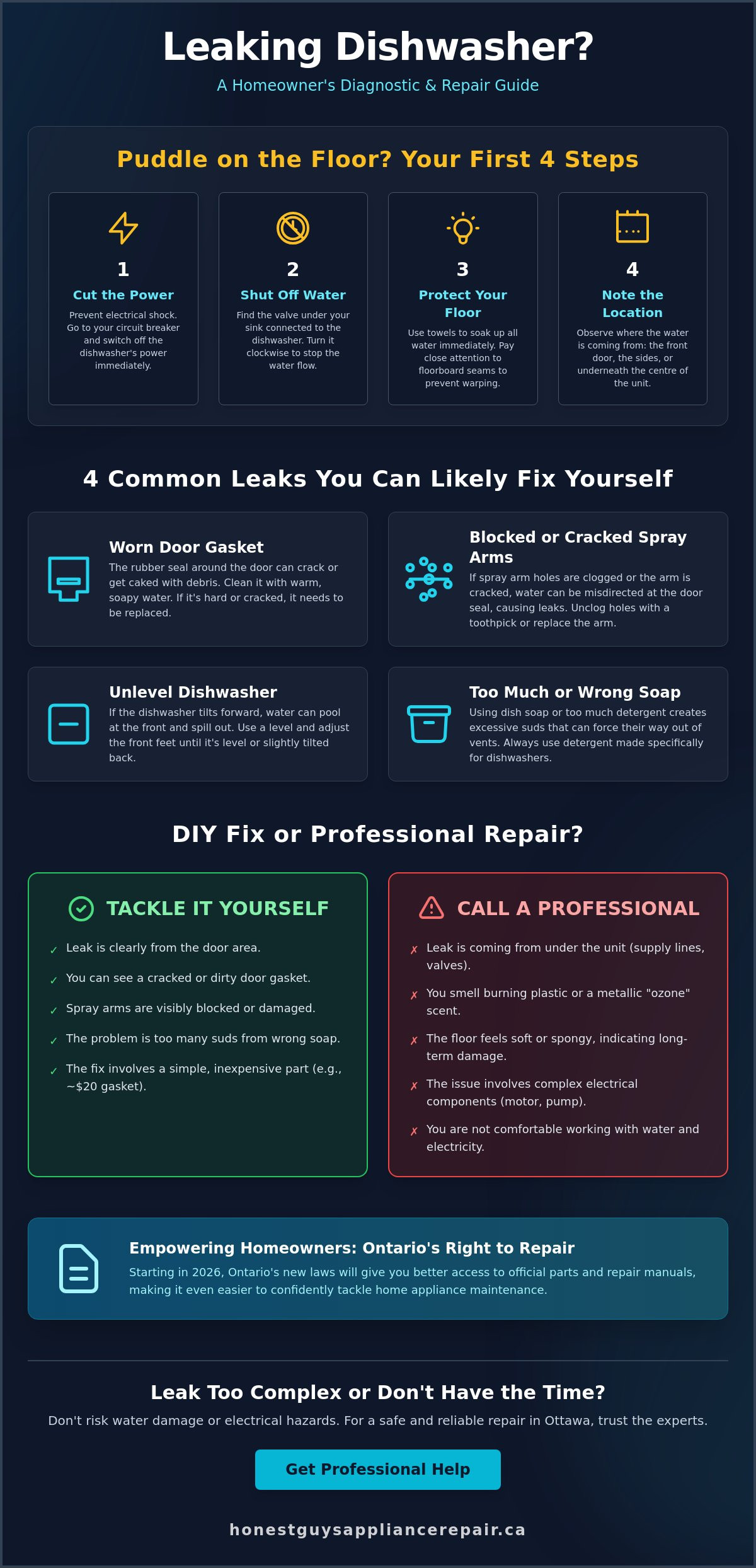 How to Fix a Leaking Dishwasher: A Homeowner’s Guide to DIY vs. Pro Repair
